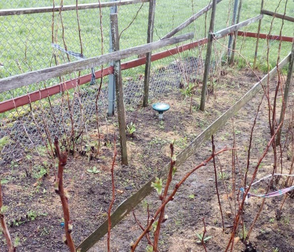 Отпугиватель кротов 